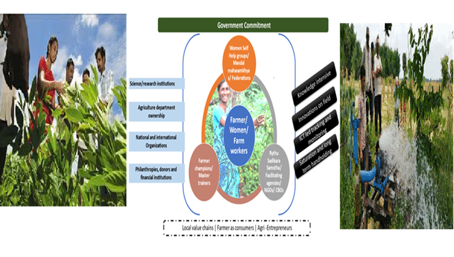 Livelihoods & Agriculture in Rural Andhra Pradesh